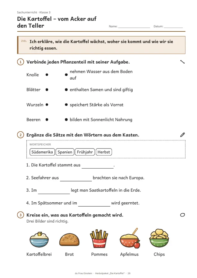 Arbeitsblatt Kartoffel