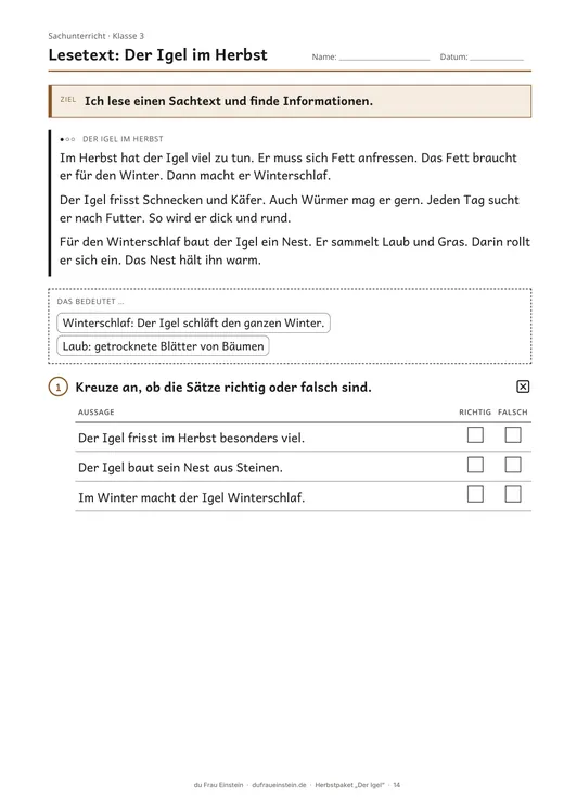 Lesetext, Niveau leicht