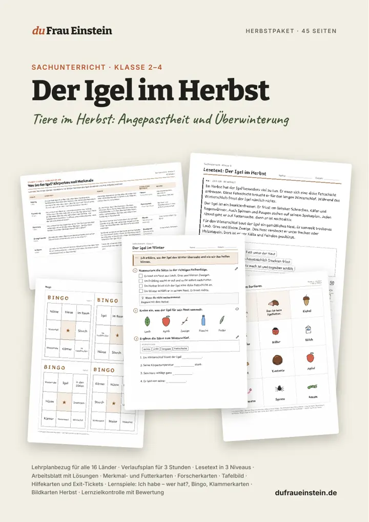 Cover: Der Igel im Herbst