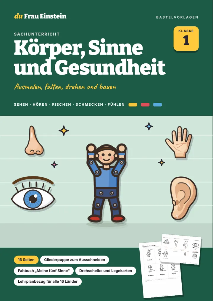 Cover: Körper, Sinne und Gesundheit