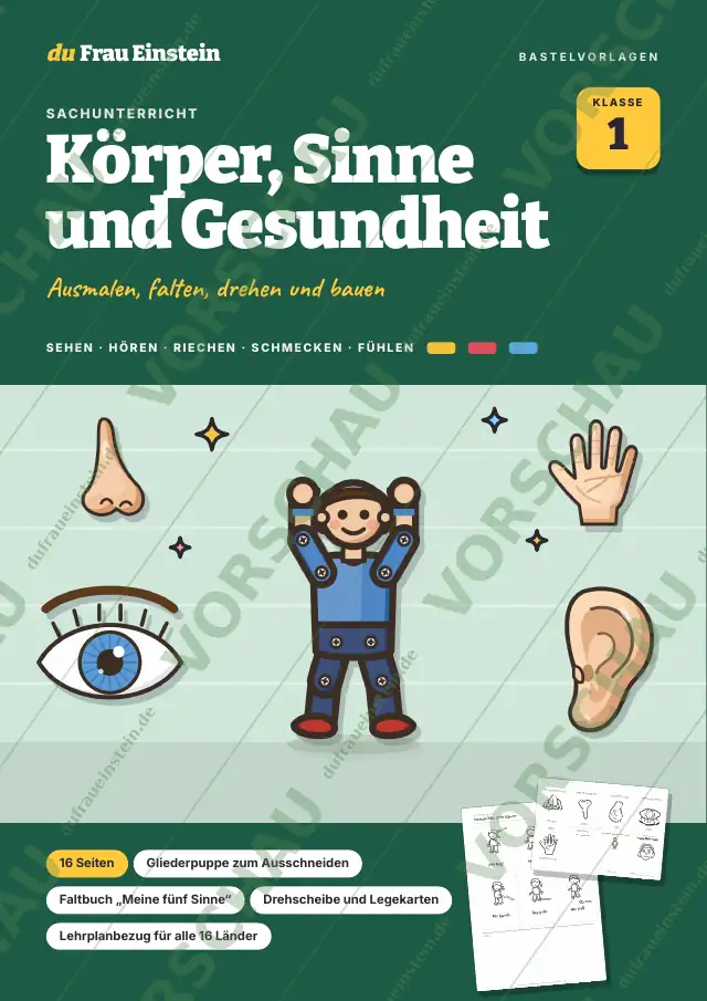 Seite 1 von 16: Körper, Sinne und Gesundheit