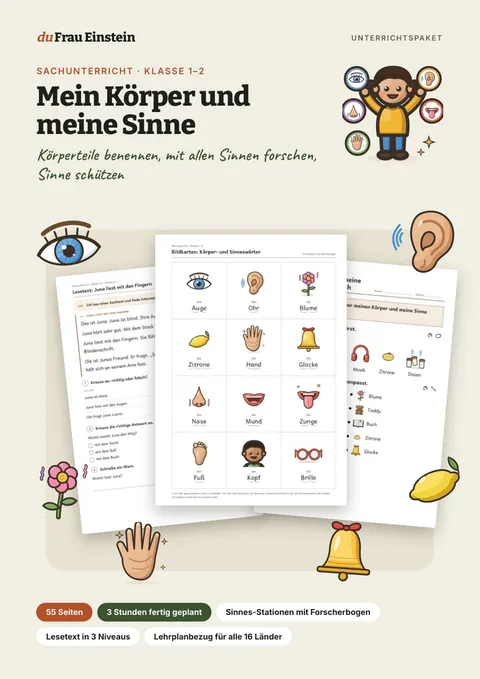 Cover: Mein Körper und meine Sinne
