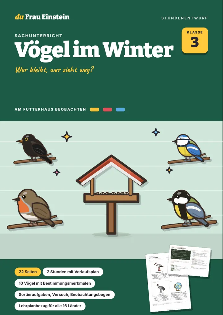 Cover: Vögel im Winter